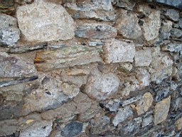 christchurch -1365.jpg
